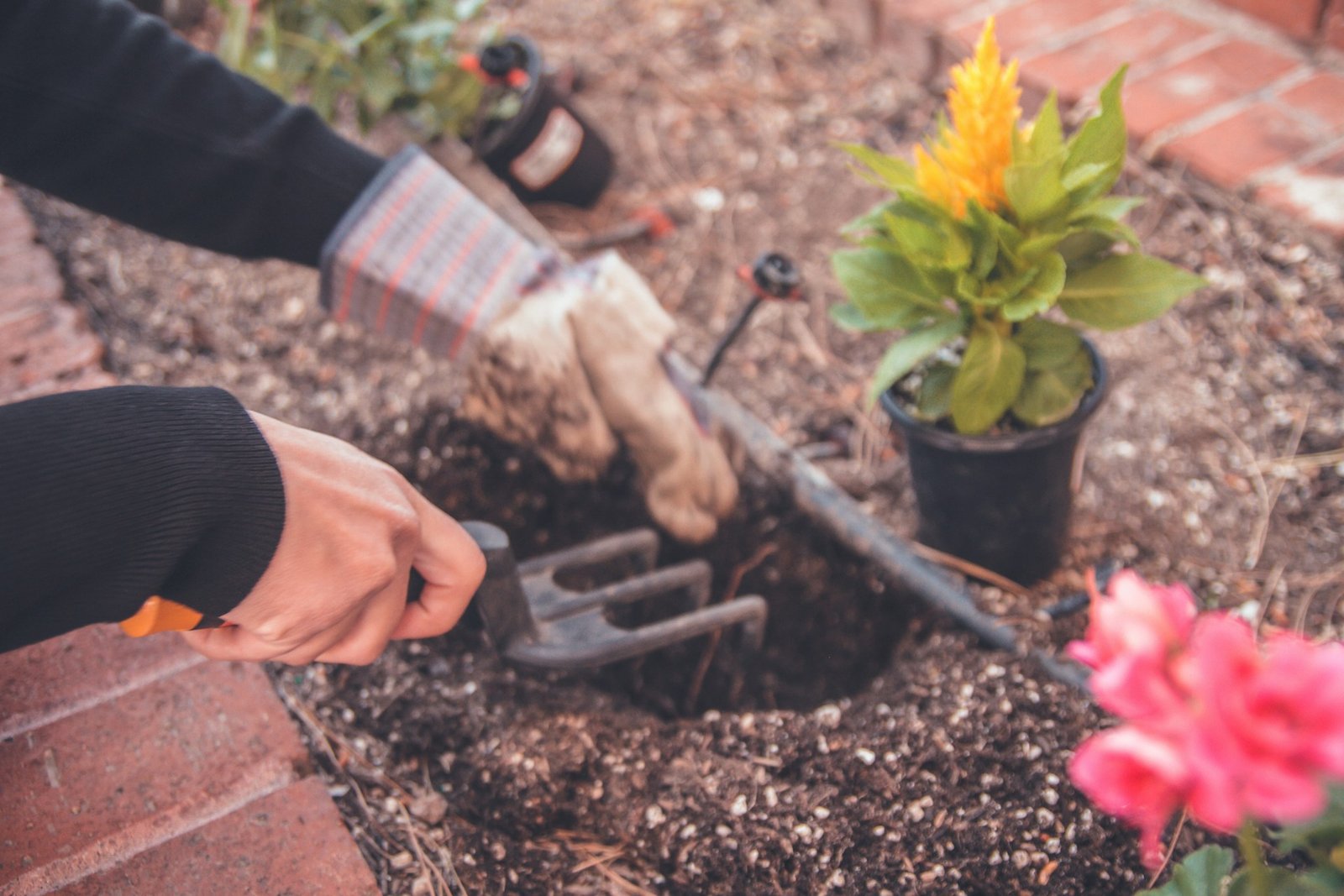 Freshly mulched garden bed